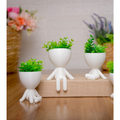 Kit 3 Mini Vasinhos com Planta FLOR artificial Enfeite Bob Robert para Decoração Casa vaso de plástico tamanho mini 6 cm