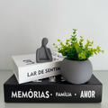 Kit Vaso Bola com planta artificial + estátua pensadora (LIVROS NÃO ACOMPANHAM O KIT)